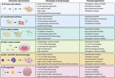 Microglia in a Dish—Which Techniques Are on the Menu for Functional Studies?